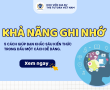 TĂNG KHẢ NĂNG GHI NHỚ: 5 CÁCH GIÚP BẠN KHẮC SÂU KIẾN THỨC MỘT CÁCH DỄ DÀNG