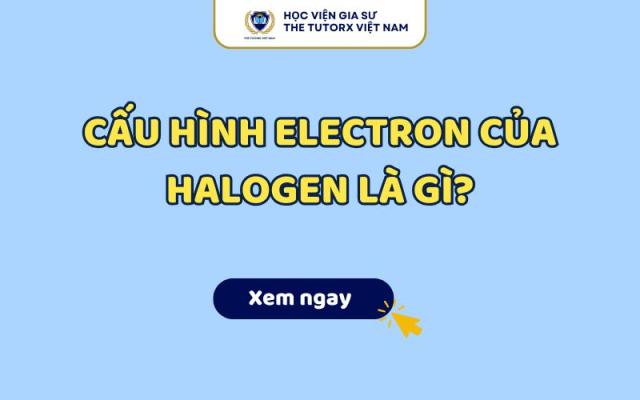Cấu Hình Electron Của Halogen Là Gì?