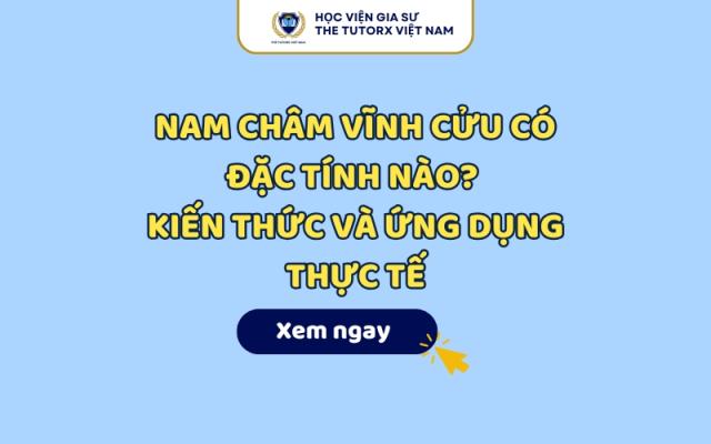 Nam Châm Vĩnh Cửu Có Đặc Tính Nào? Kiến Thức Và Ứng Dụng Thực Tế 