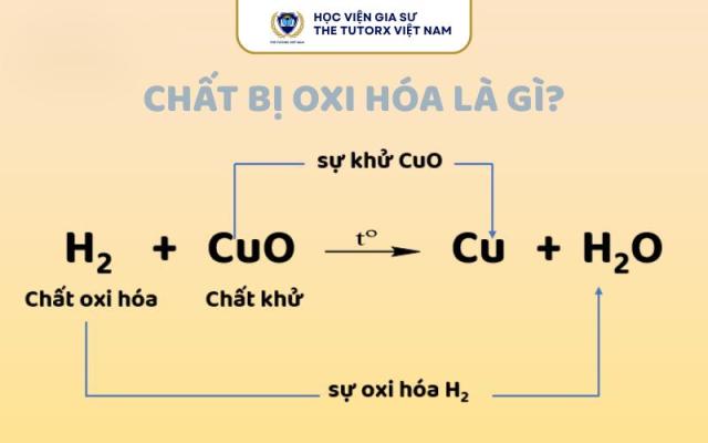 CHẤT BỊ OXI HÓA LÀ GÌ? CÁCH NHẬN BIẾT & VÍ DỤ DỄ HIỂU