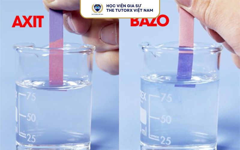 Dung Dịch Nào Làm Quỳ Tím Hóa Xanh