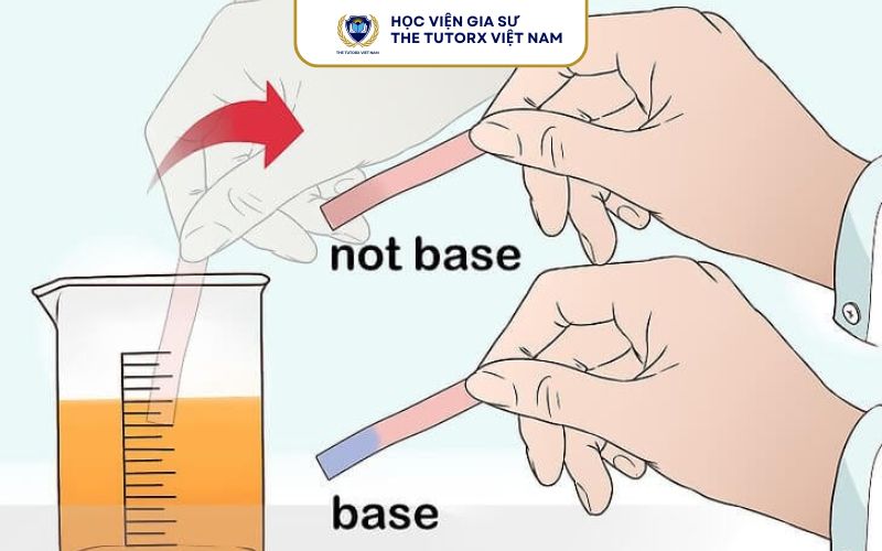 Nguyên Tắc Nhân Biết Bazo Bằng Quỳ Tím