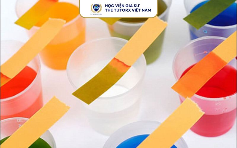 Những Phản Ứng Khác Với Quỳ Tím