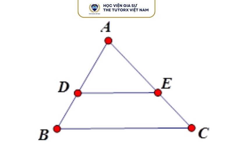 Hệ Quả Của Định Lý Ta Lét