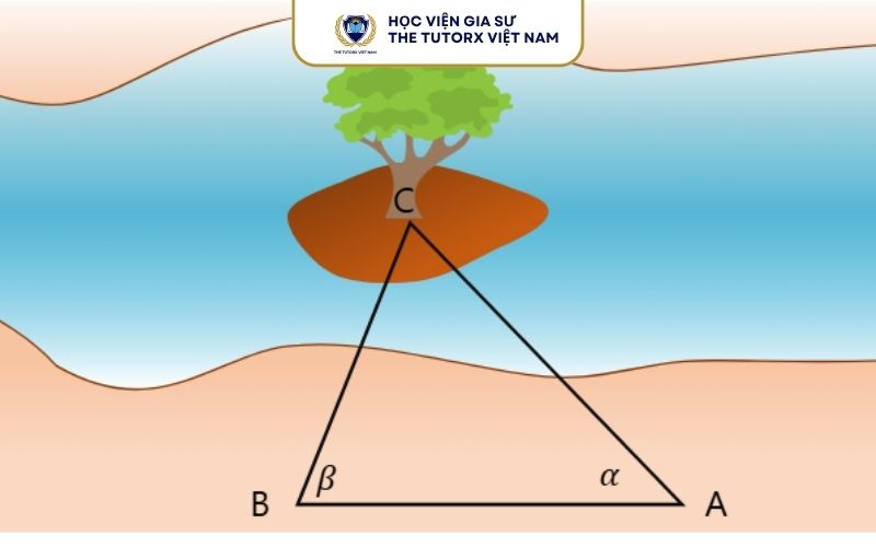 Các Dạng Bài Toán Thực Tế Lớp 12 Bám Sát Đề Thi Đại Học