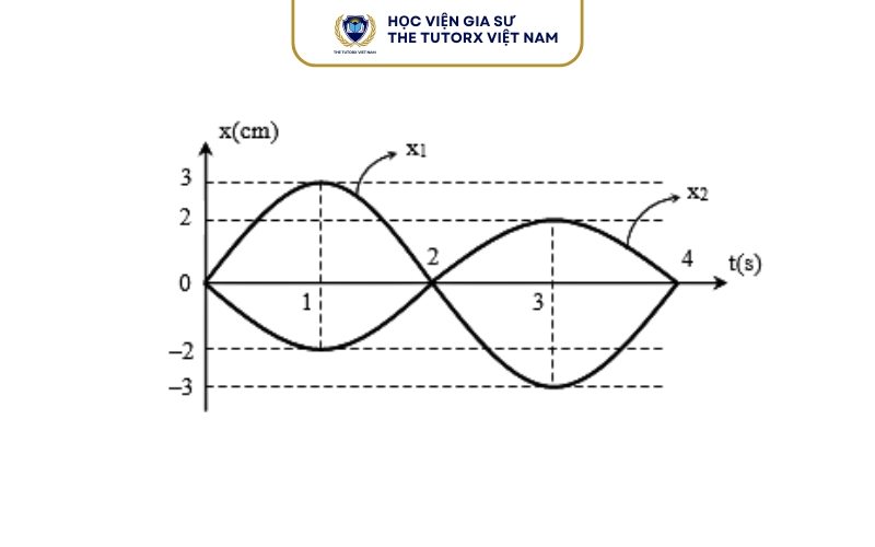 Pha dao động và độ lệch pha là gì?
