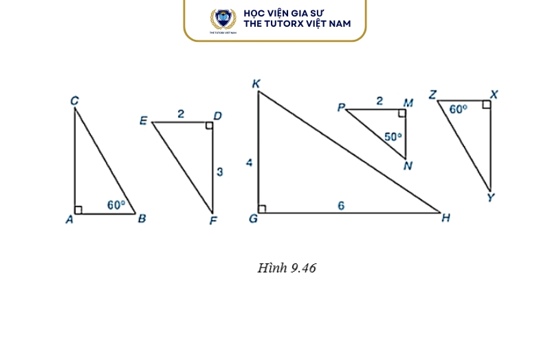 Các trường hợp đồng dạng thường gặp