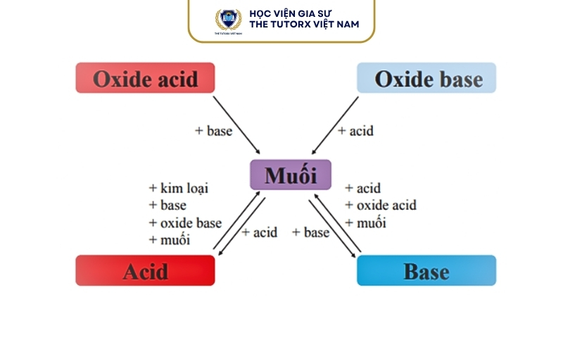 Mối quan hệ giữa Axit Bazo và muối