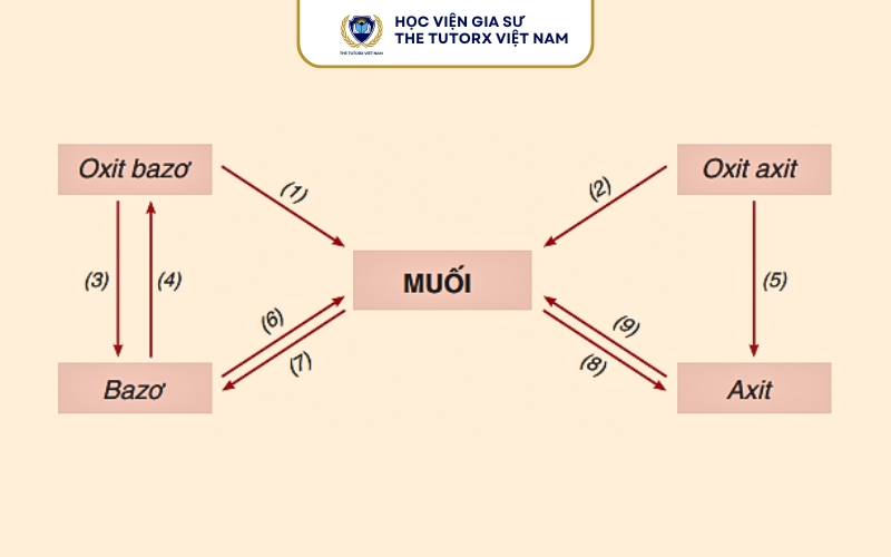 Lý thuyết Axit bazo và muối