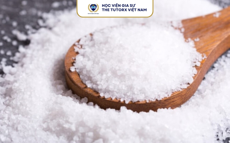 Tìm hiểu chi tiết về muối