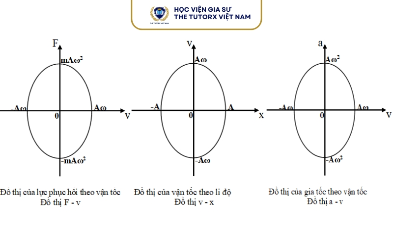 So sánh gia tốc vận tốc và li độ trong dao động điều hòa
