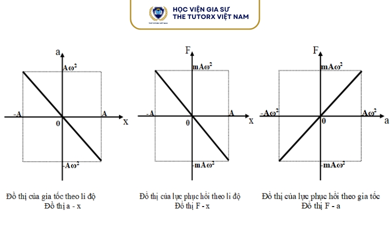 Đồ thị gia tốc trong dao động điều hòa