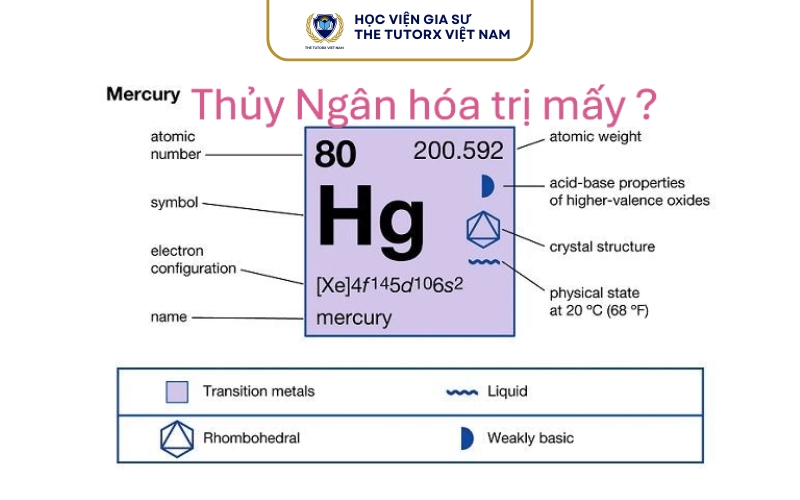 Hg là nguyên tố gì trong bảng tuần hoàn?