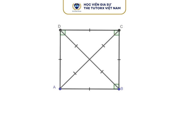 Hình vuông có phải đa giác đều không?