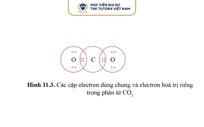 Tính chất hóa học liên quan đến liên kết cộng hóa trị của CO2
