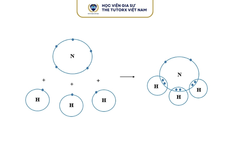 Vì Sao Liên Kết Trong N2 Rất Bền?