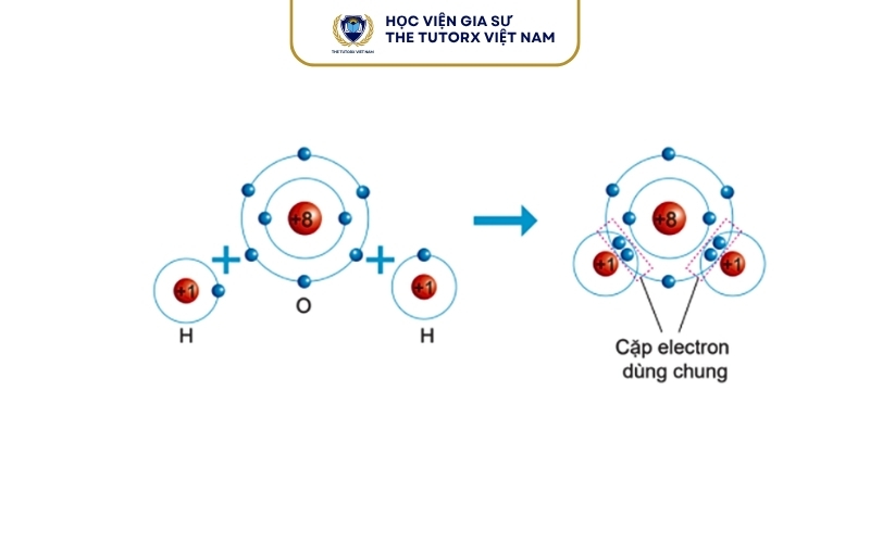 Liên kết cộng hóa trị H2O là gì?