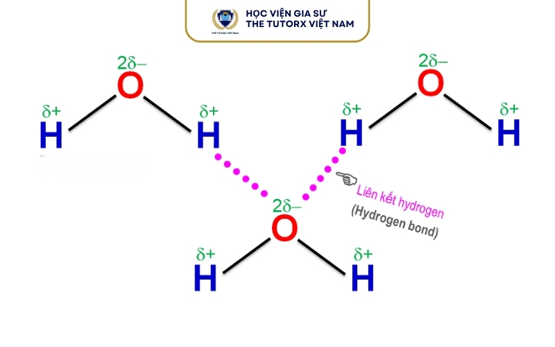 Sơ đồ Lewis của phân tử H2O