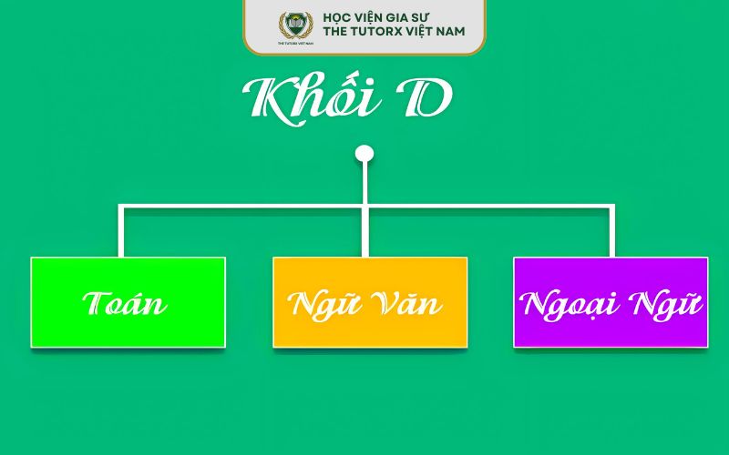 cac-mon-hoc-khoi-d