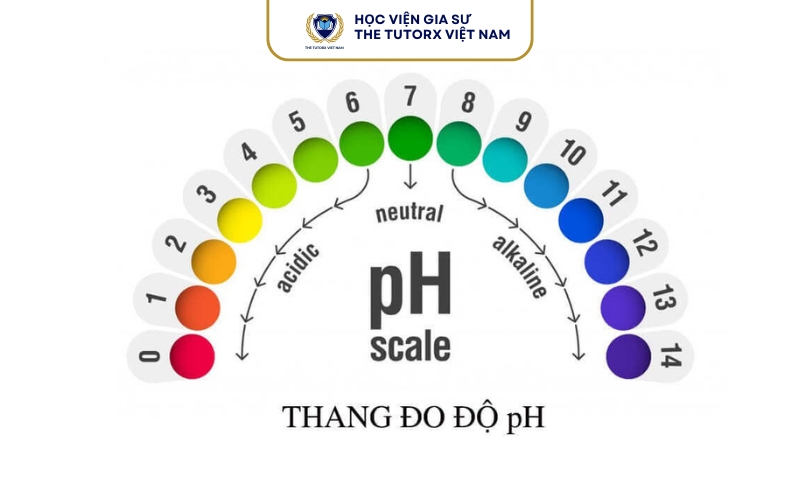 Cách đo độ pH của dung dịch