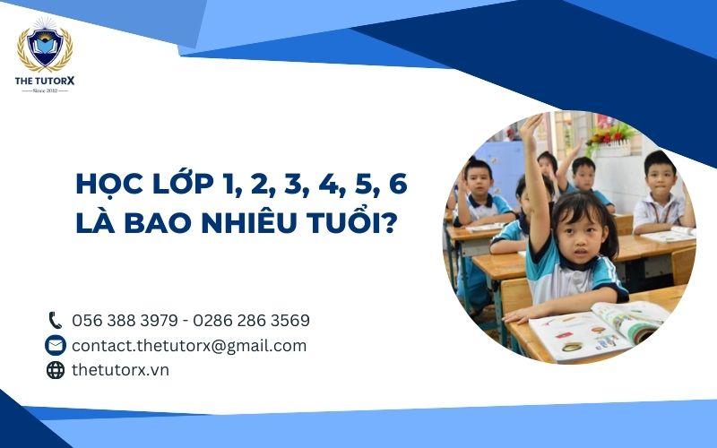 do-tuoi-tuong-ung-theo-lop-hoc