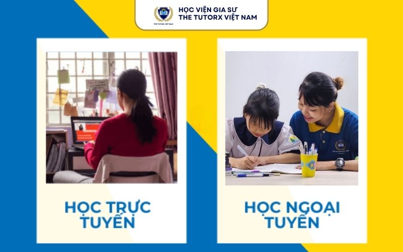 gia-su-tieu-hoc-thcs-va-thpt-thai-binh-duong