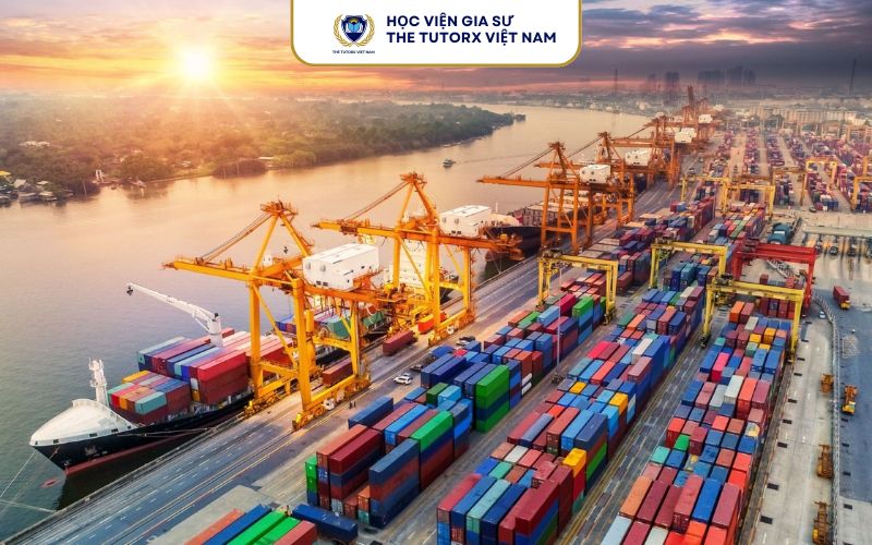 hoc-logistics-lam-gi