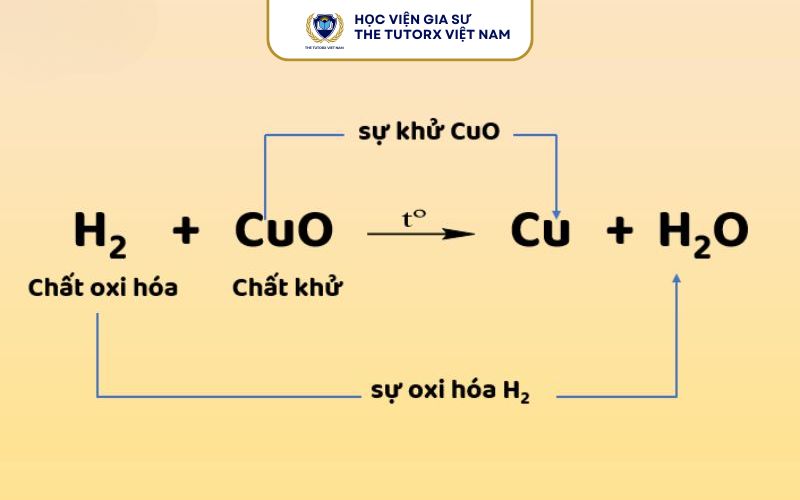 https://thetutorx.vn/tinh-khu-la-gi