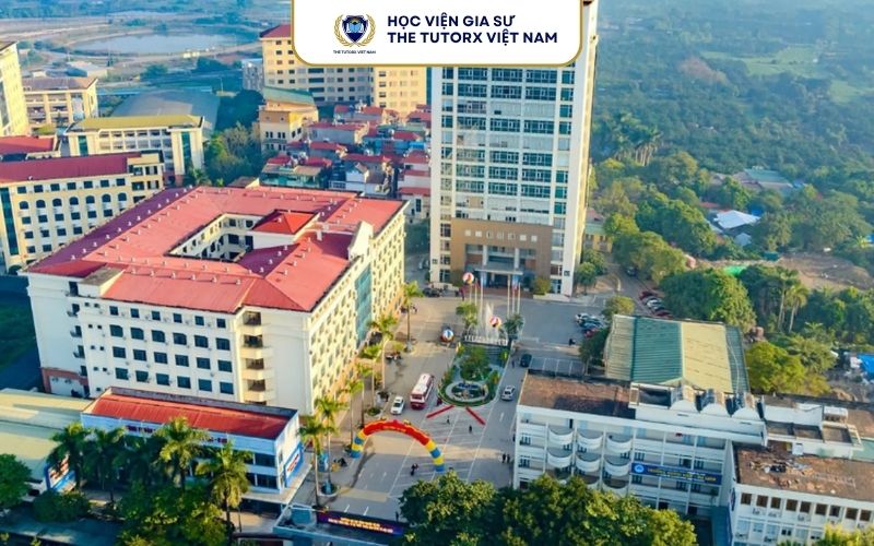 Học Khối D Nên Thi Vào Trường Đại Học Nào?