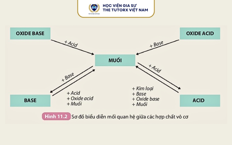 Cách Đọc Tên Axit Bazơ Muối