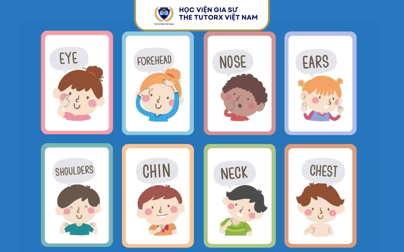Tải Giáo Trình Tiếng Anh Cho Trẻ Mầm Non