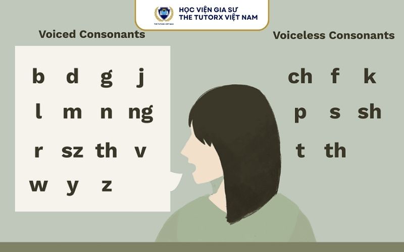 Phân biệt nguyên âm và phụ âm trong tiếng Anh
