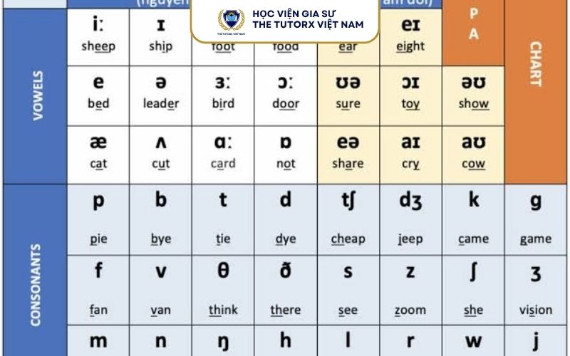 Vì sao nên học phát âm 44 âm IPA?