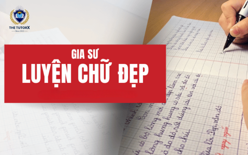trung-tam-cung-cap-dich-vu-gia-su-mam-non-tai-nha-chat-luong